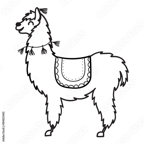 Vector illustration. Cute character lama