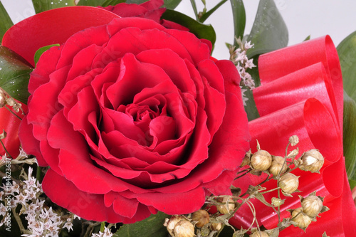 Big beautifulof red roses flower. Texture ped colors.  Valentine's Day. Roses flower background. Roses flower texture photo