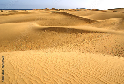 Numerous desert sand dunes at Maspalomas  Playa del Ingles  Gran Canaria