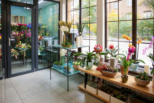 Assortment of beautiful flowers in shop photo