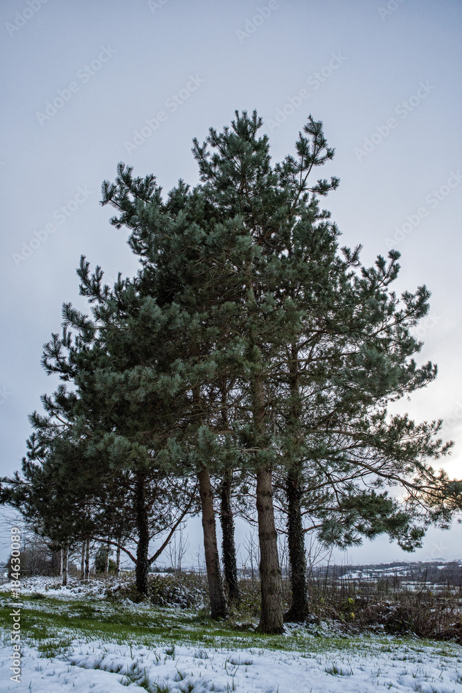 Obraz premium Landscape