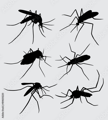 Mosquito insect animal silhouette Good use for symbol, logo, web icon, mascot, sign, sticker, or any design you want   © ComicVector