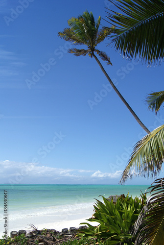 Beautiful coral beach, turquoise sea and blue sky with wind waving through palmleaves at Paje Beach, Zanzibar, Tanzania