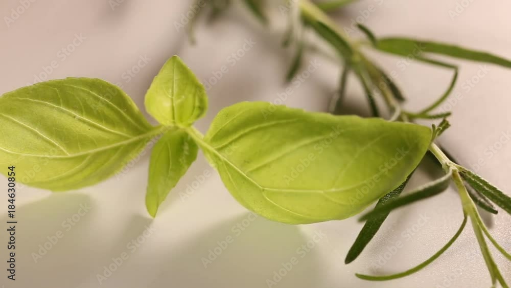 Putting rosemary and basil herbs on table - close up Putting rosemary and basil herbs on table - close up