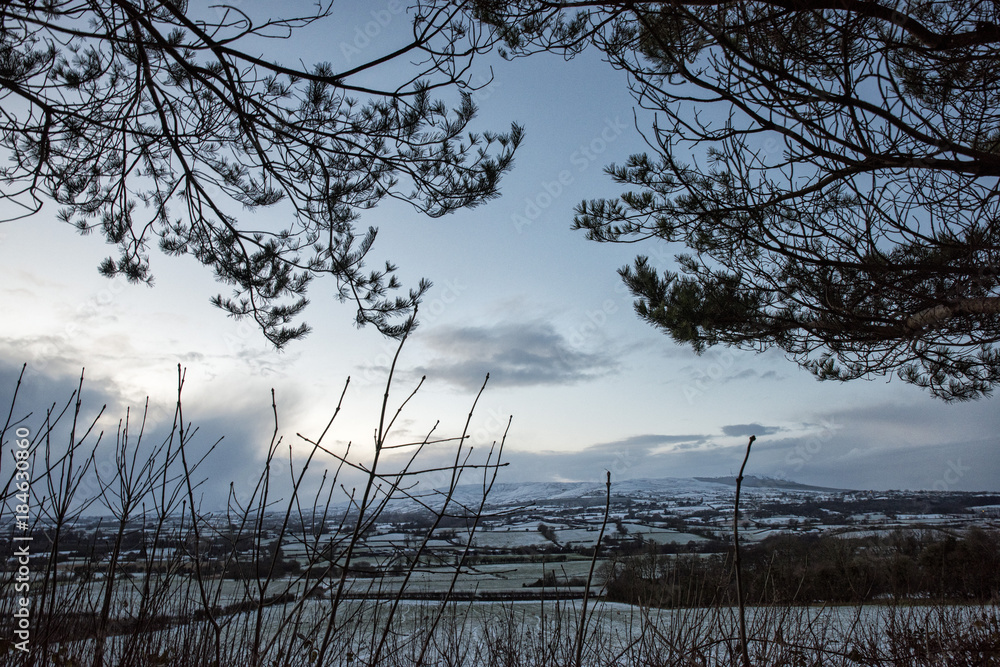 Fototapeta premium Landscape