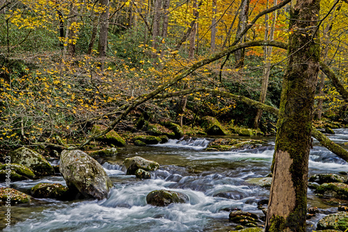 A small stream is surrounded with fall colors in the Smokies.