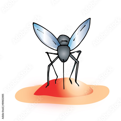 mosquito sucking blood