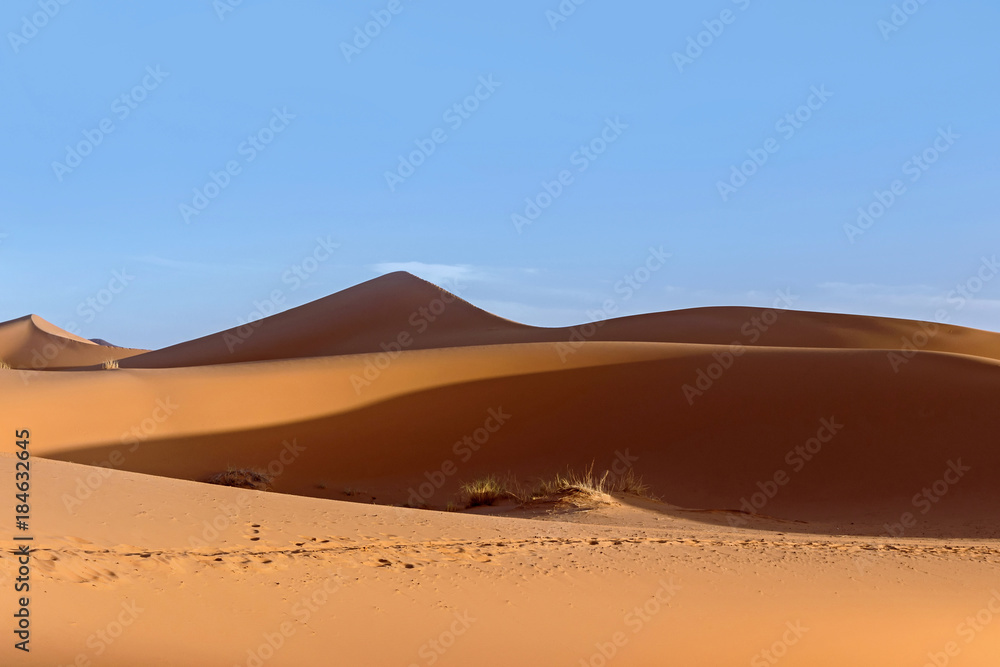 golden sand dune in sahara desert