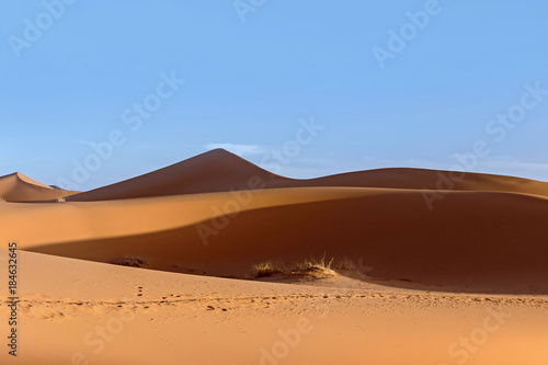 złota wydma pustyni sahara