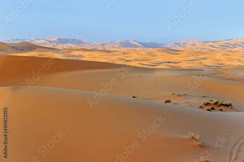 sand dune in desert at sunset