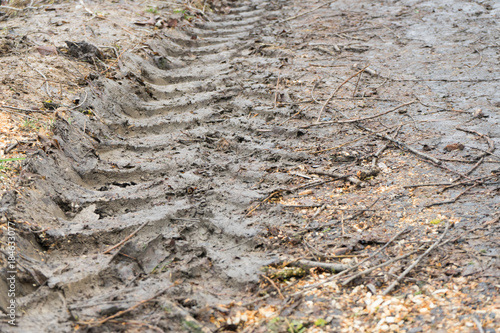Tire tread of car wheels in the mud.