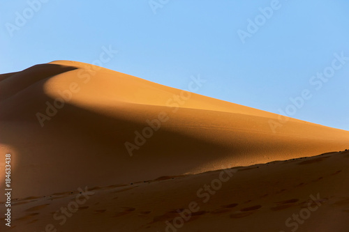golden sand dune in sahara desert with blue sky