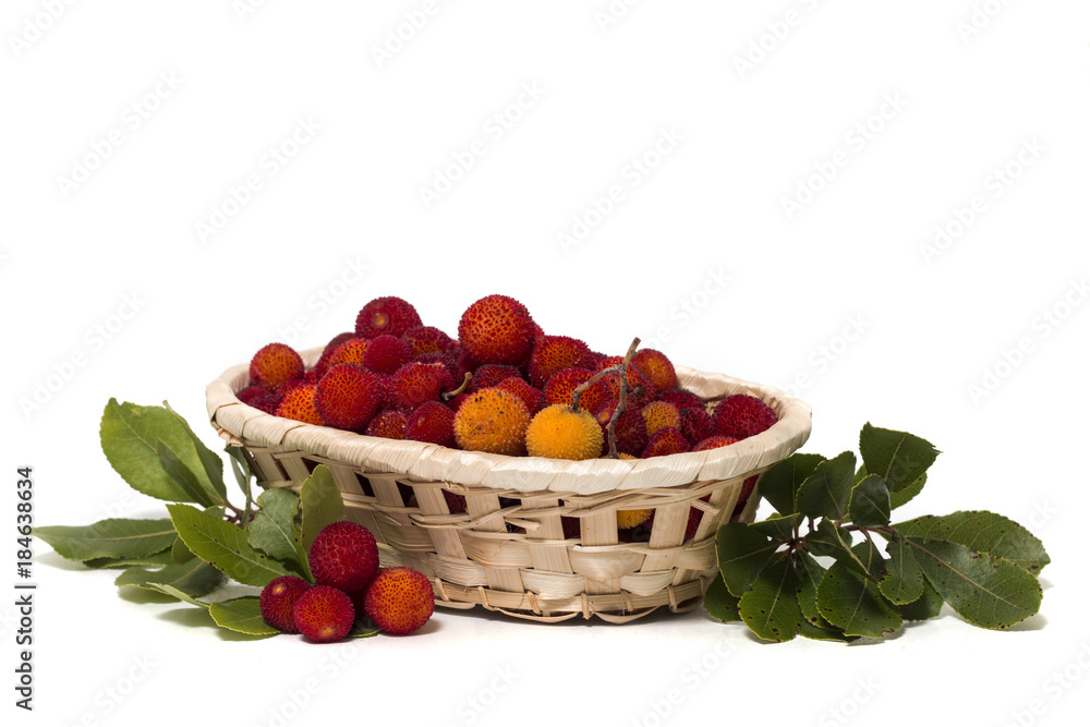 Strawberry Tree (Arbutus Unedo) fruit Strawberry Tree (Arbutus Unedo) fruit