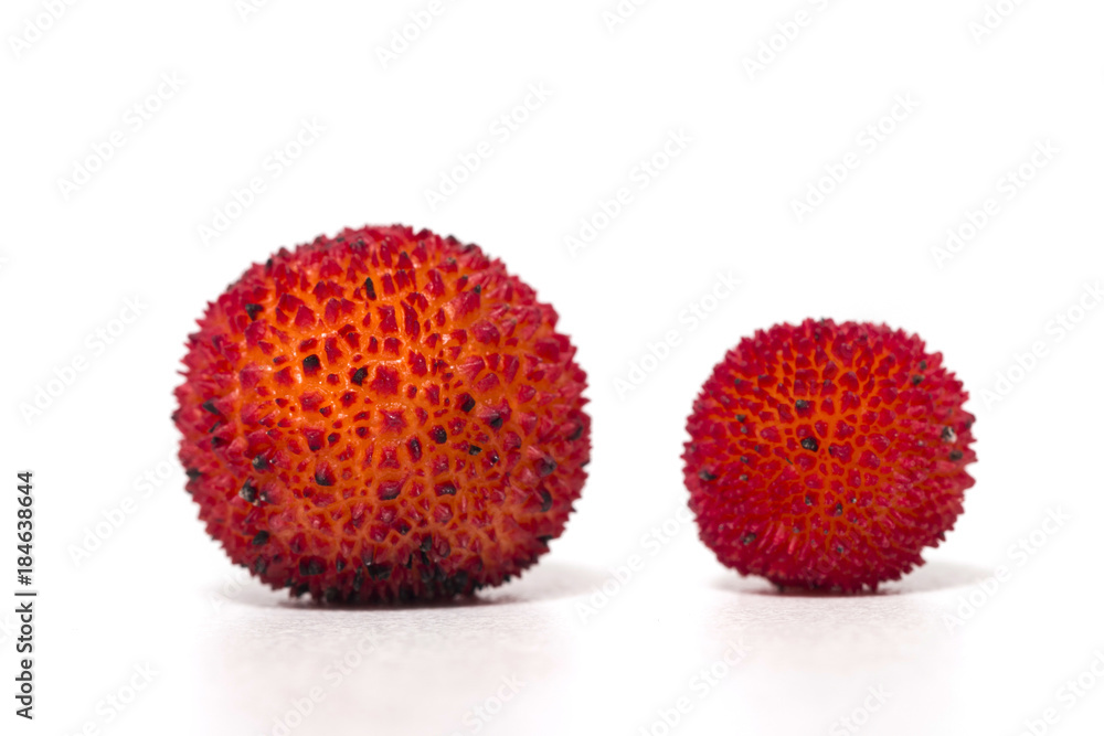 Strawberry Tree (Arbutus Unedo) fruit Strawberry Tree (Arbutus Unedo) fruit