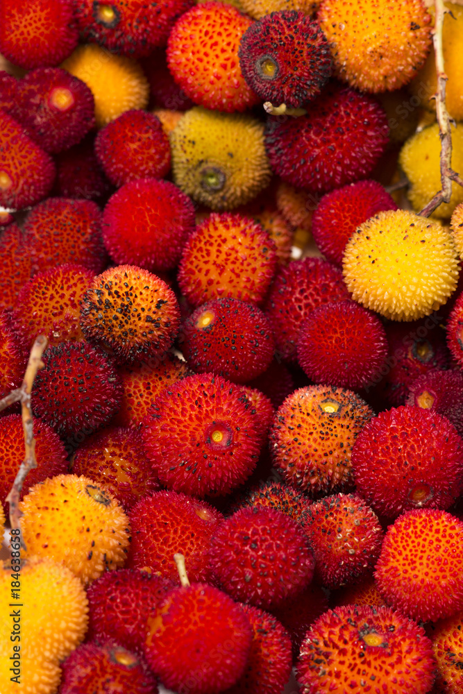 Strawberry Tree (Arbutus Unedo) fruit Strawberry Tree (Arbutus Unedo) fruit