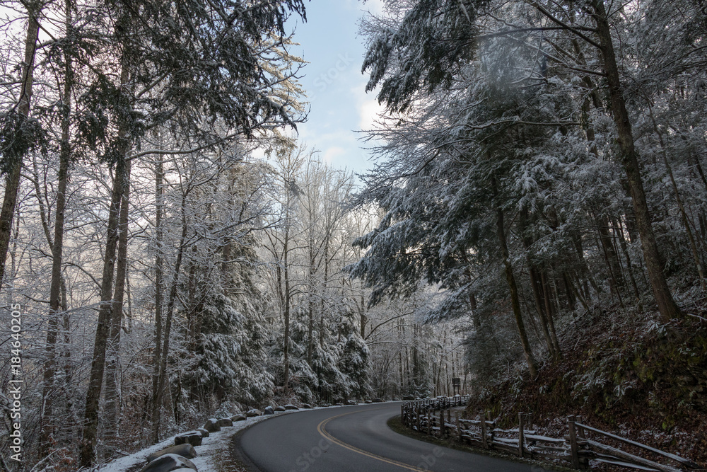 Curvy road through snow covered forest in Great Smoky Mountains National Park