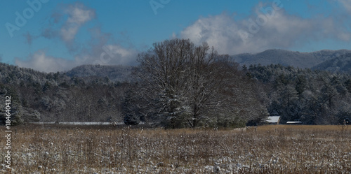 Wallpaper Mural Cades Cove after a dusting of snow on a cold winter morning Torontodigital.ca