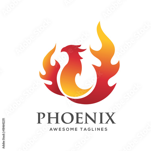 luxury phoenix logo concept, best phoenix bird logo design, phoenix vector logo,creative logo of mythological bird , a unique bird , a flame born from ashes