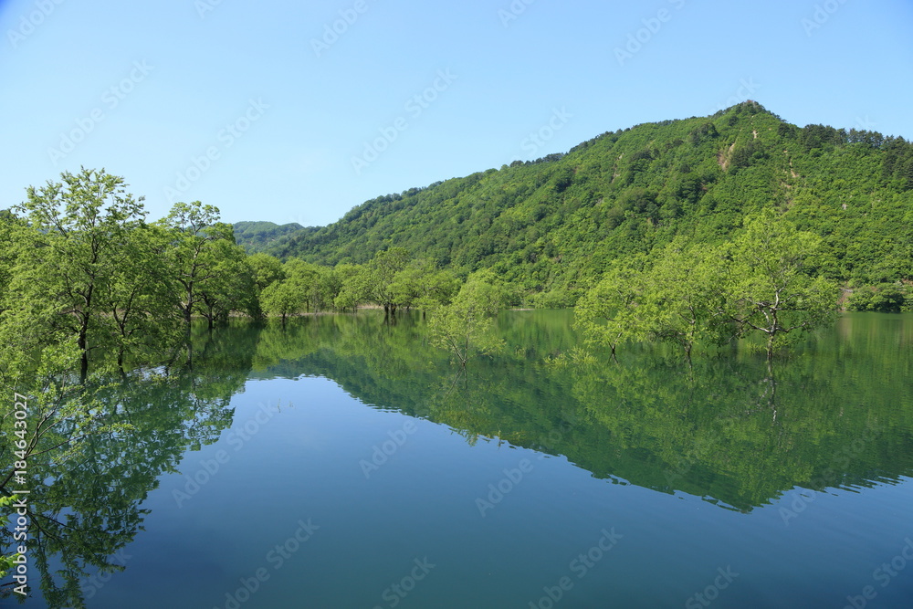 Fototapeta premium 初夏の荒沢湖 Arasawa Lake in early summer / Tsuruoka, Yamagata, Japan
