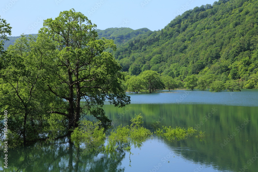 初夏の荒沢湖　Arasawa Lake in early summer / Tsuruoka, Yamagata, Japan