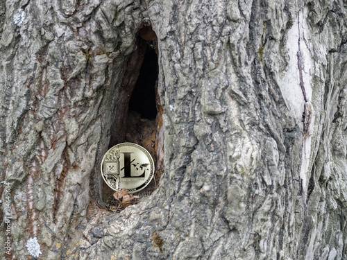 coin litecoin in the hollow of a tree. to store bitcoins.