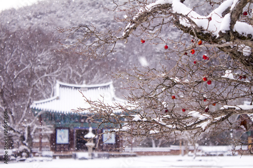 Beautiful winter landscape
