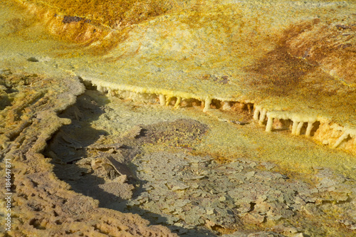 Dalol, Danakil Depression. Volcanic hot spring in Ethiopia