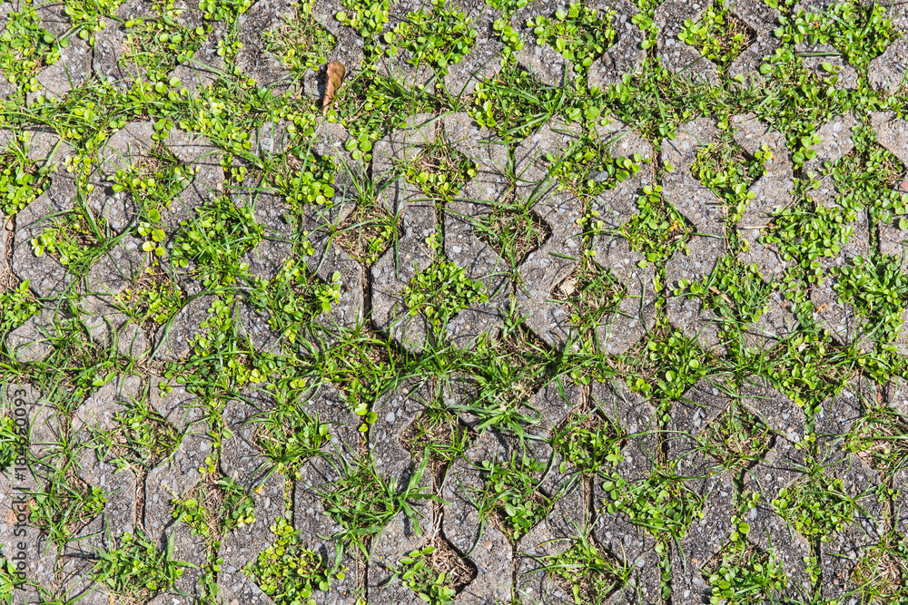 Brick block with small trees inserted.