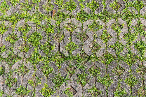 Brick block with small trees inserted.