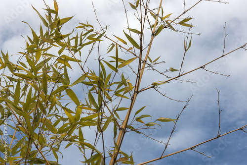 provence style house.