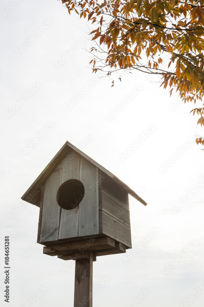 bird house at the provence style house with nature.