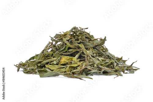 pile of dried stevia rebaudiana bertoni isolated on white background photo
