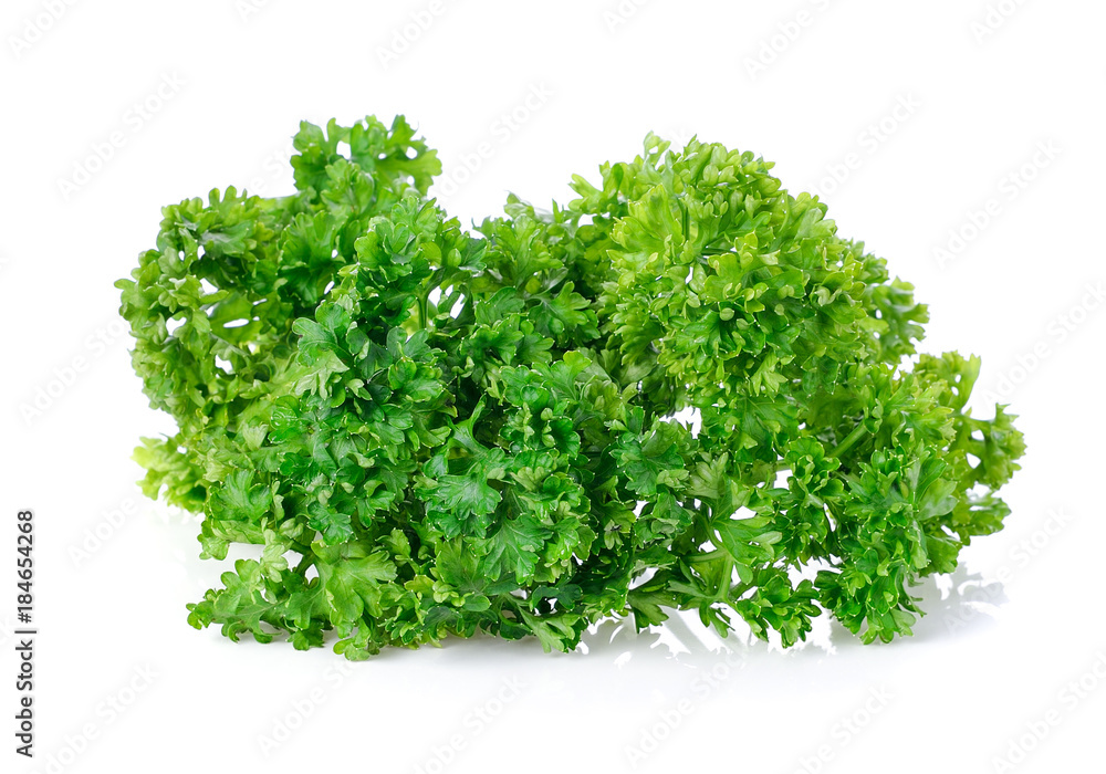 parsley isolated on a white background parsley isolated on a white background