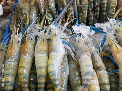 Fresh river prawns on ice in the market