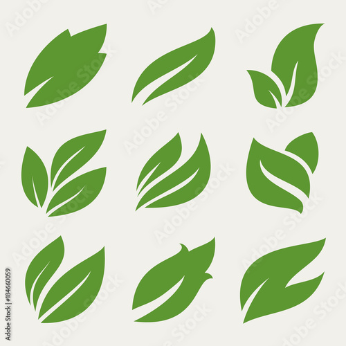 Leaves icon set. Collection of leaf logo design for green, eco, organic, food, beauty, health care brand identity. vector illustration .