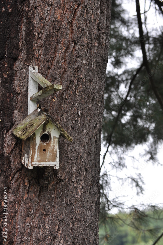 Birdhouse Hanging Outdoors