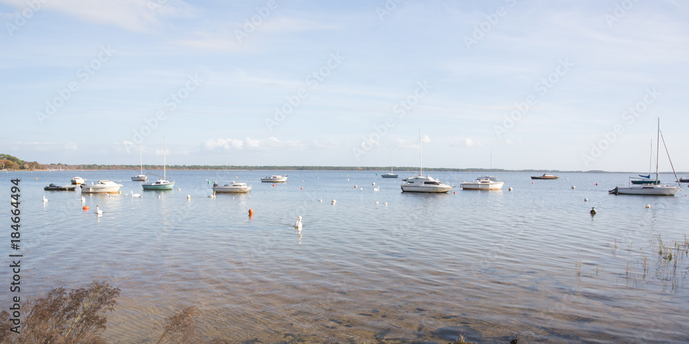 Panoramic view of the lake with the white swans floating between the boats