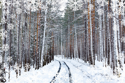 Road in winter forest. Snowcovered trees