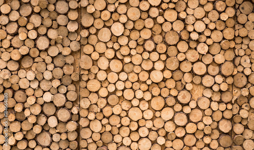 wooden background from a log close up