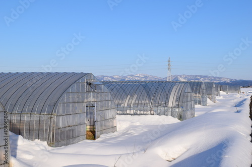 雪の中のビニールハウス