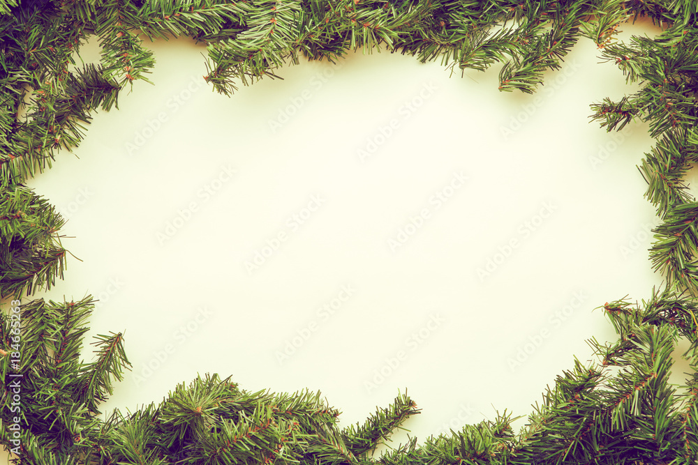 Fototapeta premium Spruce branches on white background
