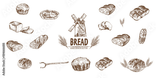 Digital vector detailed line art baked bread