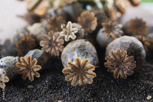 dry poppy capsules, and black seeds, macro