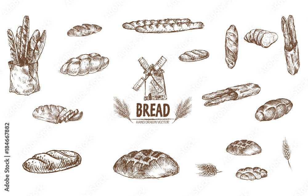 Digital vector detailed line art baked bread Digital vector detailed line art baked bread