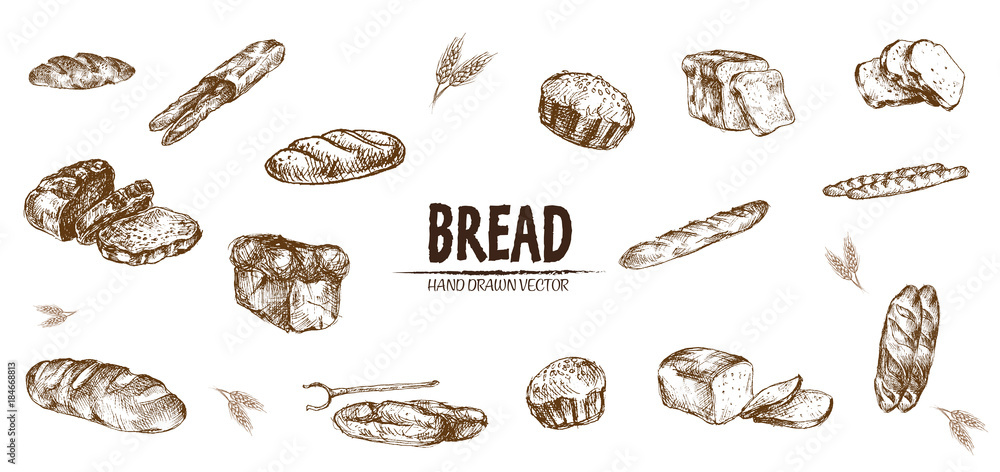 Fototapeta Digital vector detailed line art baked bread