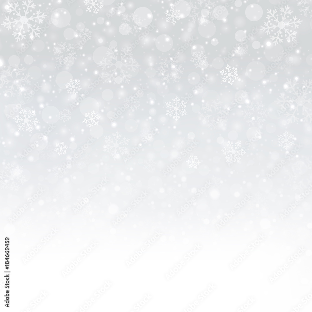 Snowflakes of Winter Christmas in white background, illustration vector