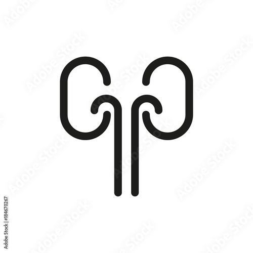 kidney