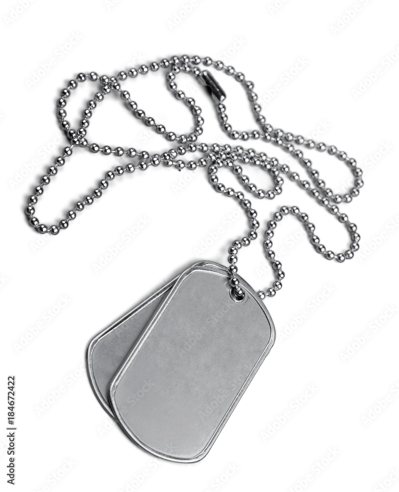 Fototapeta premium Blank Dog Tags