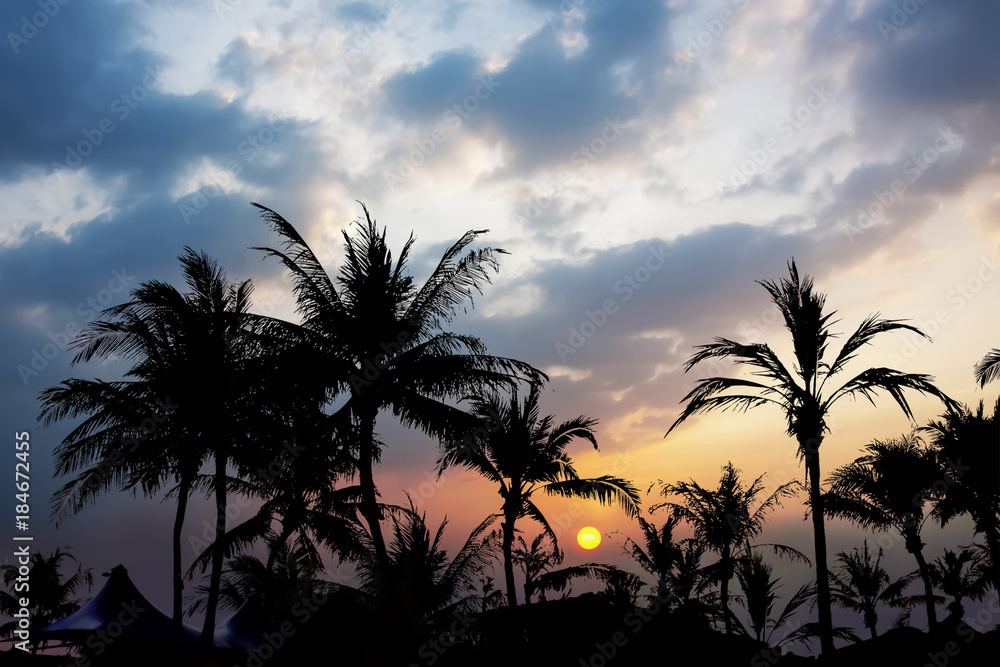Dramatic atmosphere panorama view of resort and palmtree background on twilight sky.