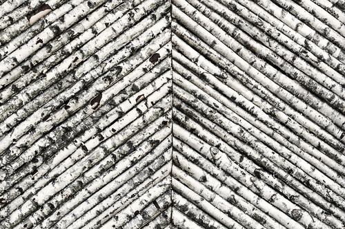 Fence made of young birch trees in black and white.